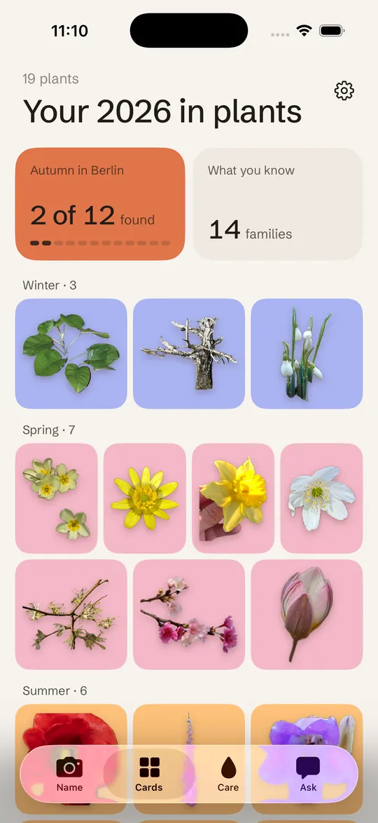 The collection, grouped by season in four colours