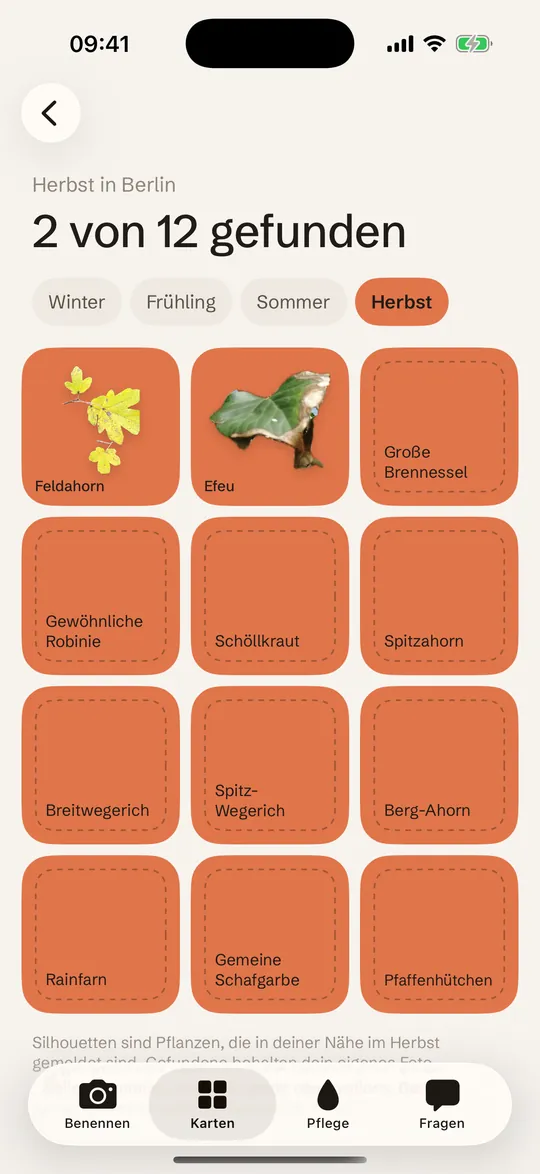 Das Herbst-Set: 2 von 12 gefunden, der Rest als Silhouetten