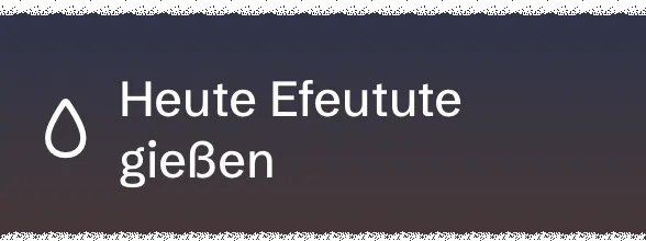 Sperrbildschirm-Zeile: Efeutute heute gießen